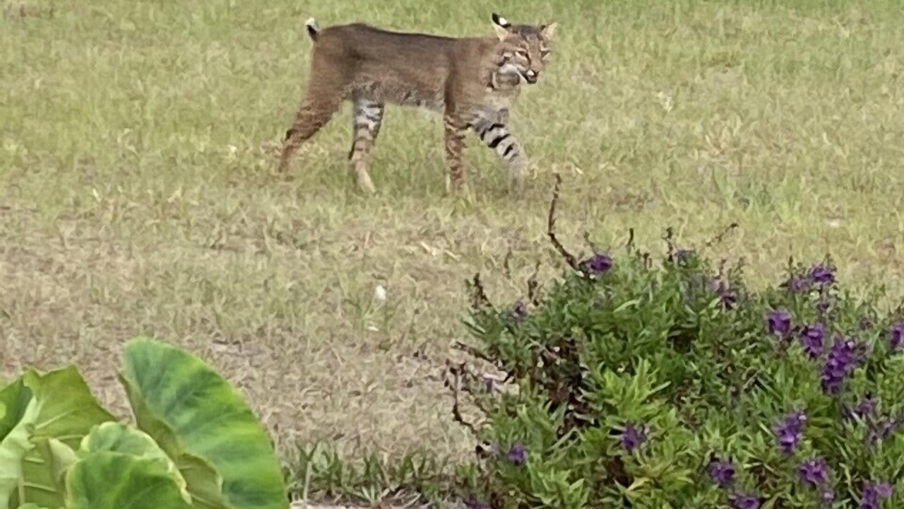 Photo of Outdoor in Englewood