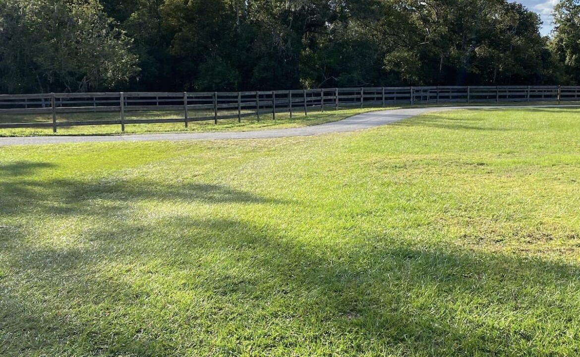 Photo of Others in Land O' Lakes