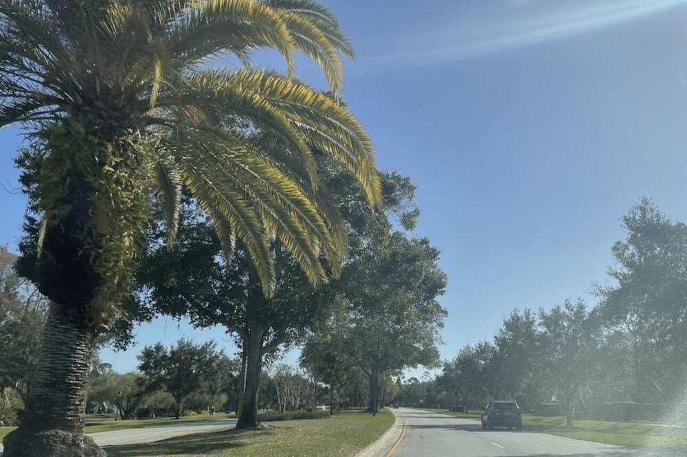 Photo of Outdoor in Coventry Village