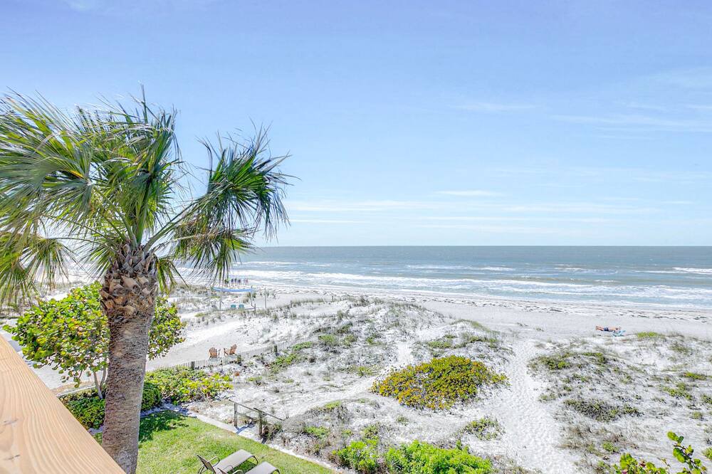 Photo of Others in Indian Shores