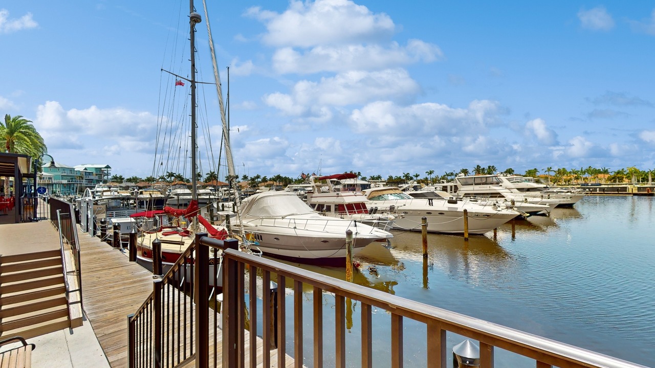 Photo of Others in Cape Harbour