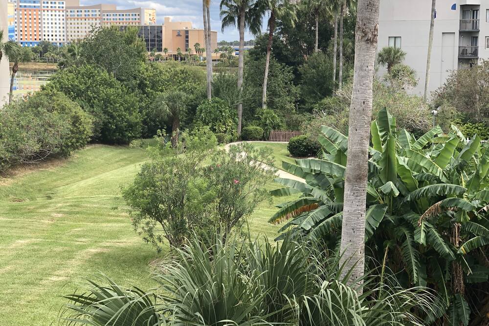 Photo of Outdoor in Florida Center