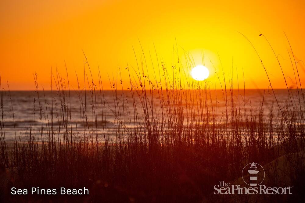 Photo of Others in Palmetto Dunes