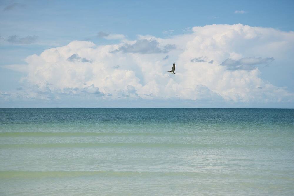 Photo of Others in Marco Island
