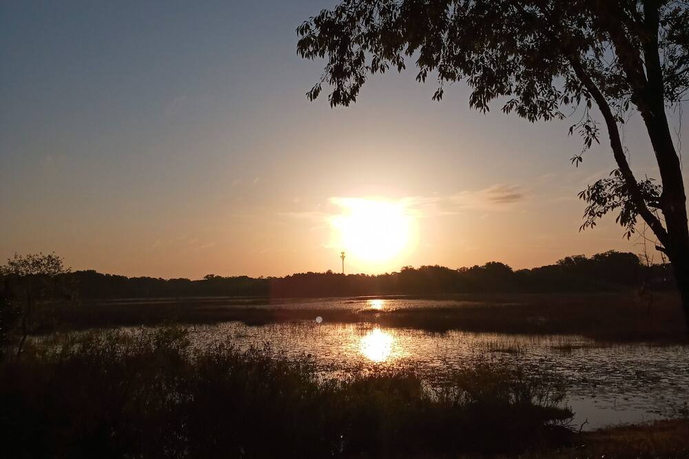 Photo of Others in Spring Hill