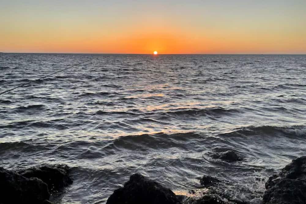 Photo of Others in Crystal River