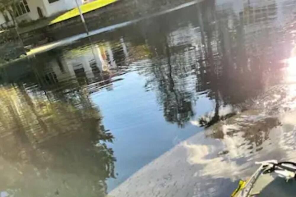 Photo of Outdoor in Crystal River