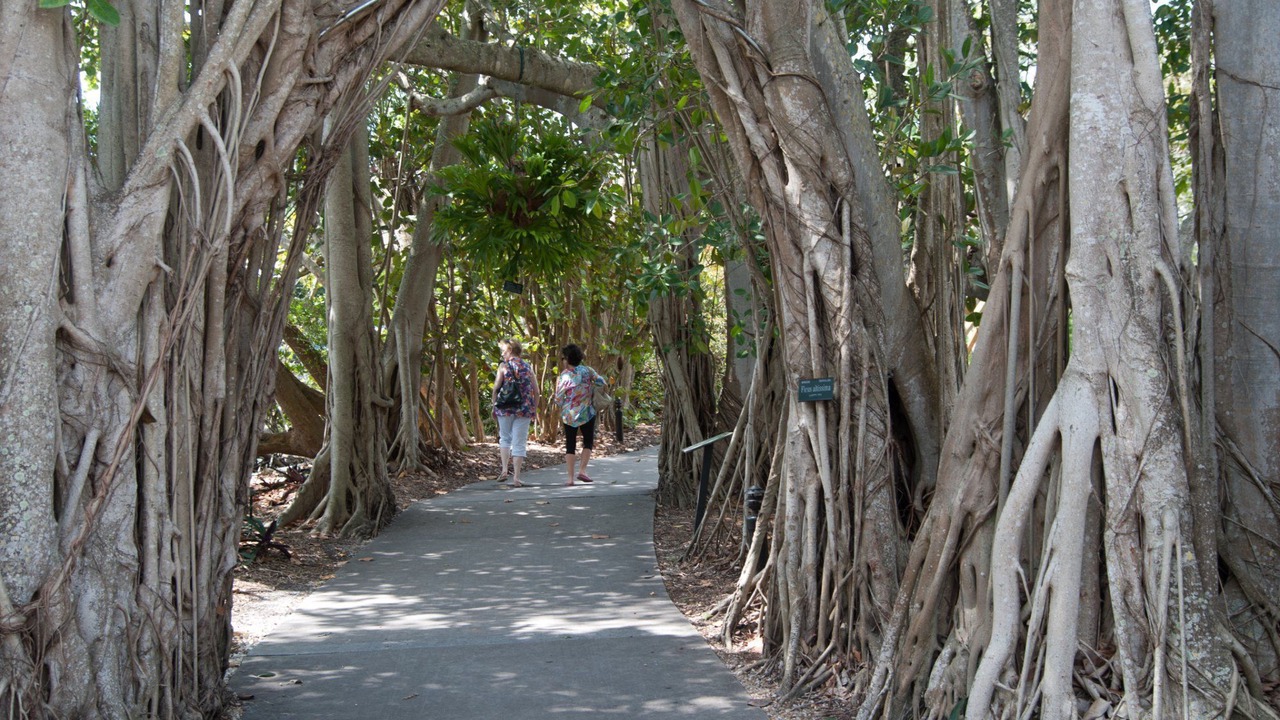 Photo of Outdoor in West Bradenton