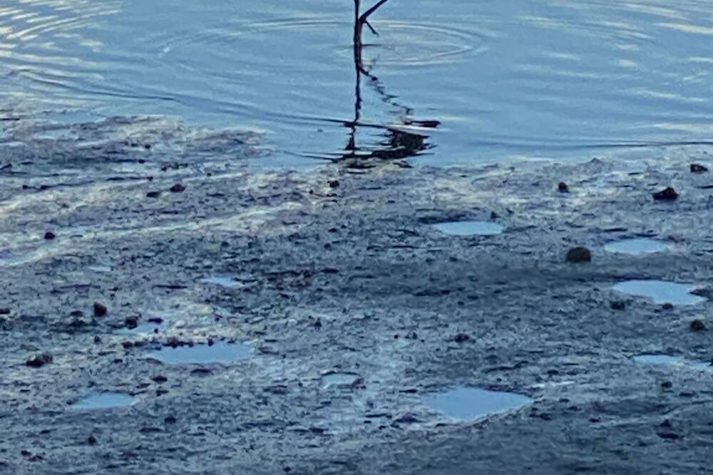 Photo of Others in Yankeetown