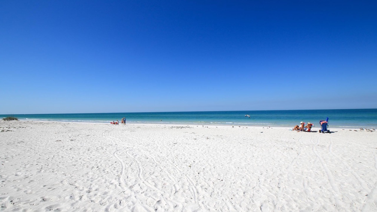 Photo of Others in Bradenton Beach