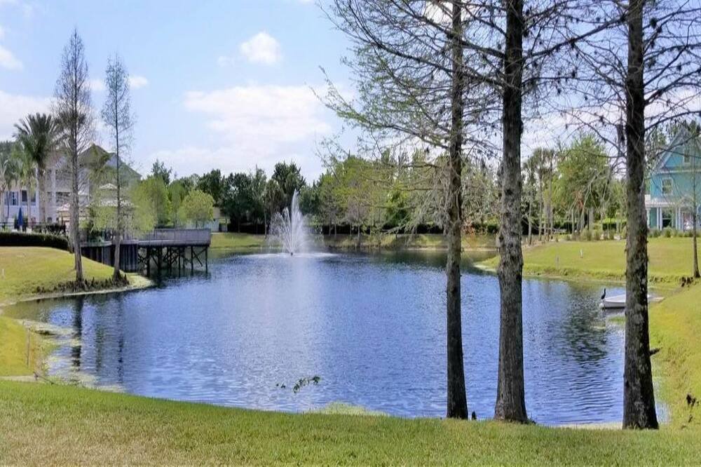 Photo of Outdoor in Kissimmee