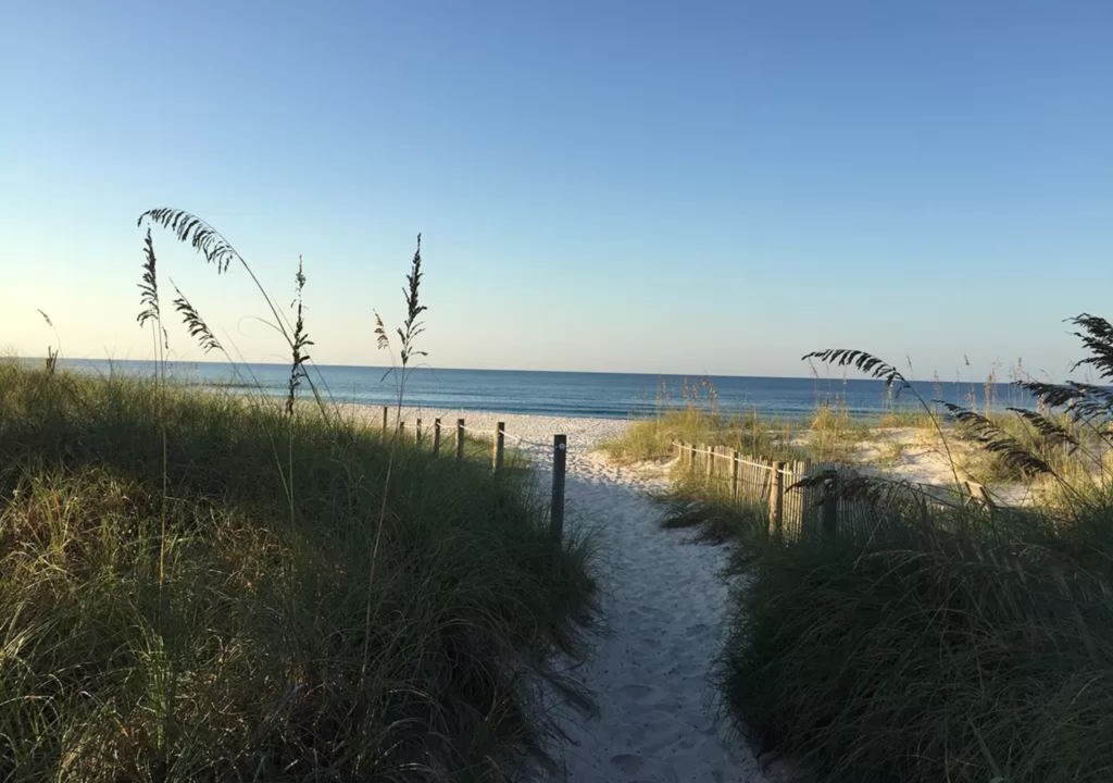 Photo of Others in West Panama City Beach