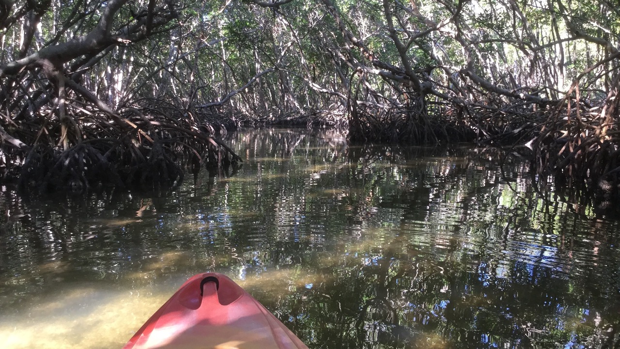 Photo of Others in Saint Armands Key