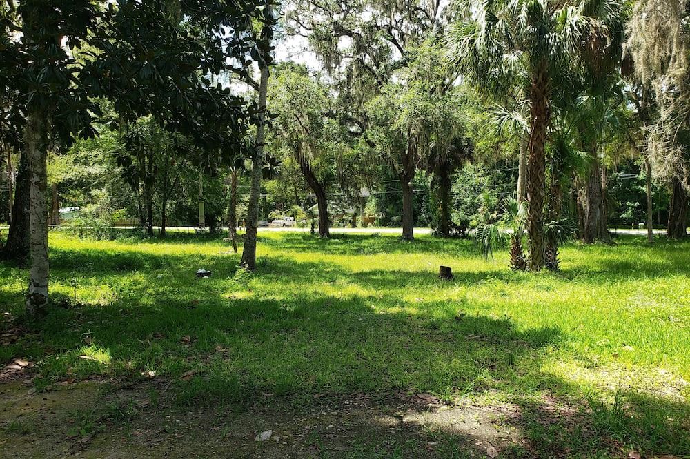 Photo of Others in Homosassa