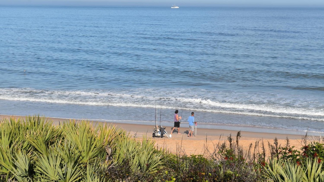 Photo of Others in Flagler Beach