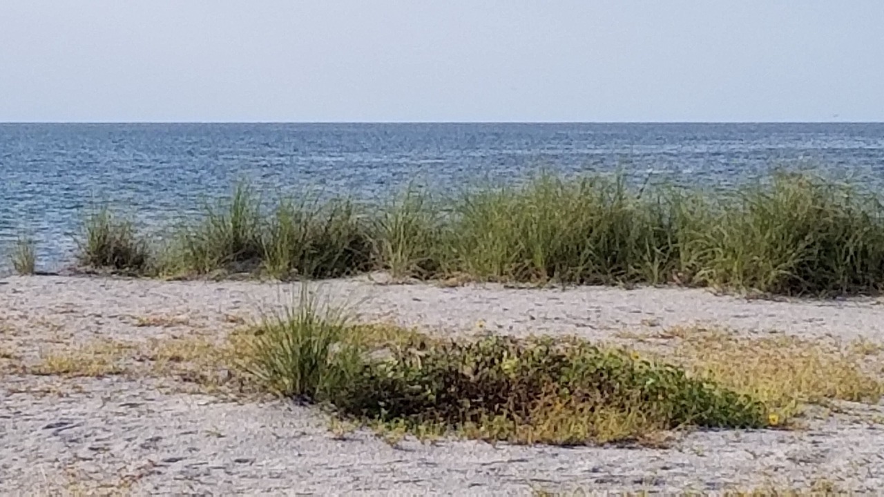 Photo of Others in Golden Beach