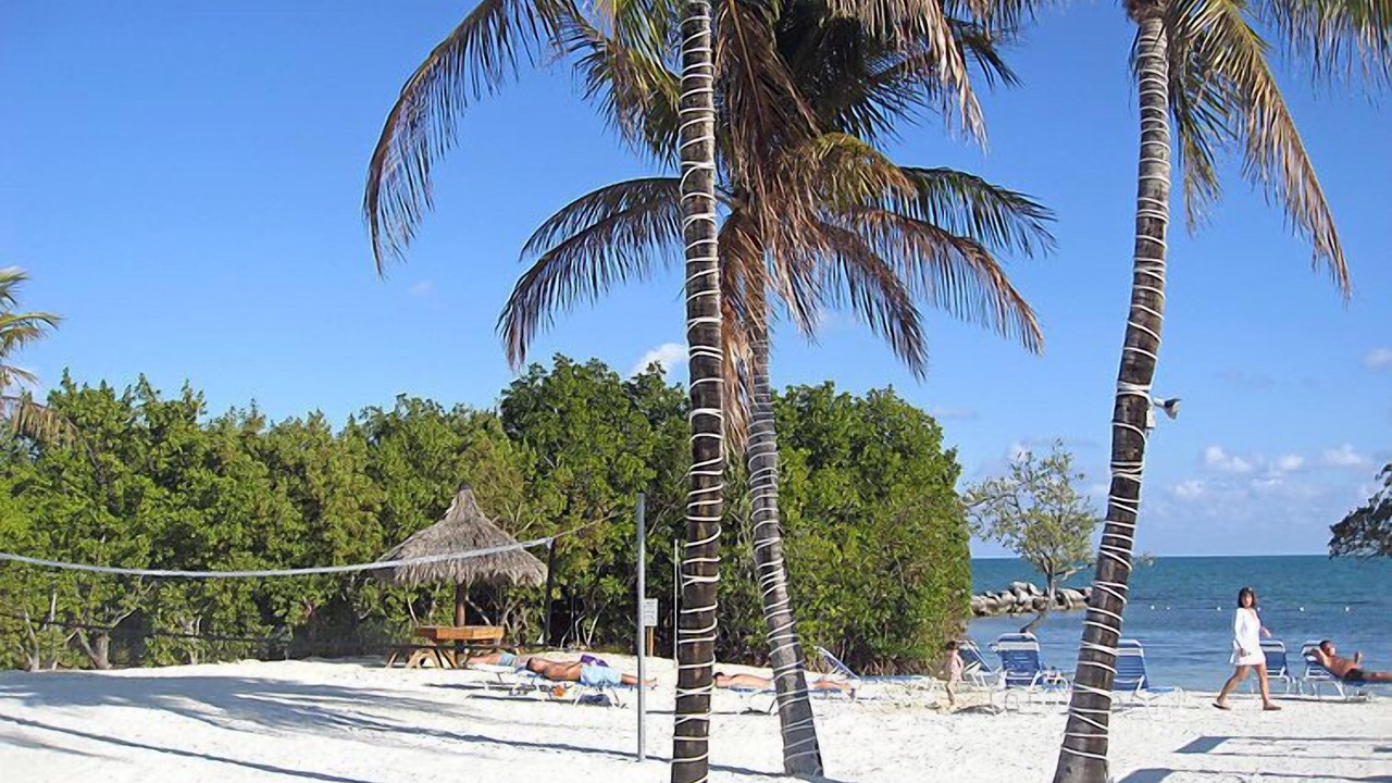 Photo of Others in Tavernier