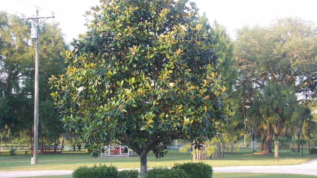 Photo of Outdoor in Madison