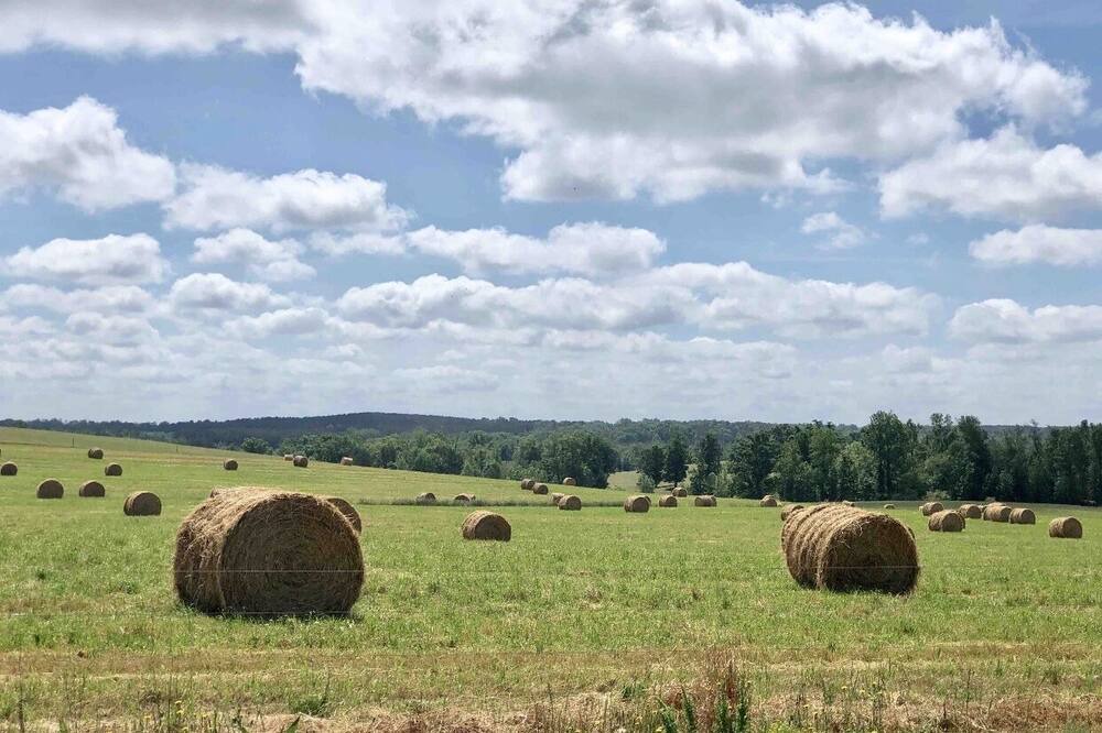 Photo of Outdoor in Colbert