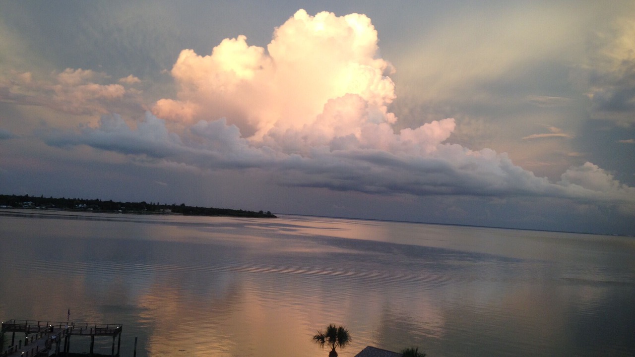 Photo of Others in Pinellas Point