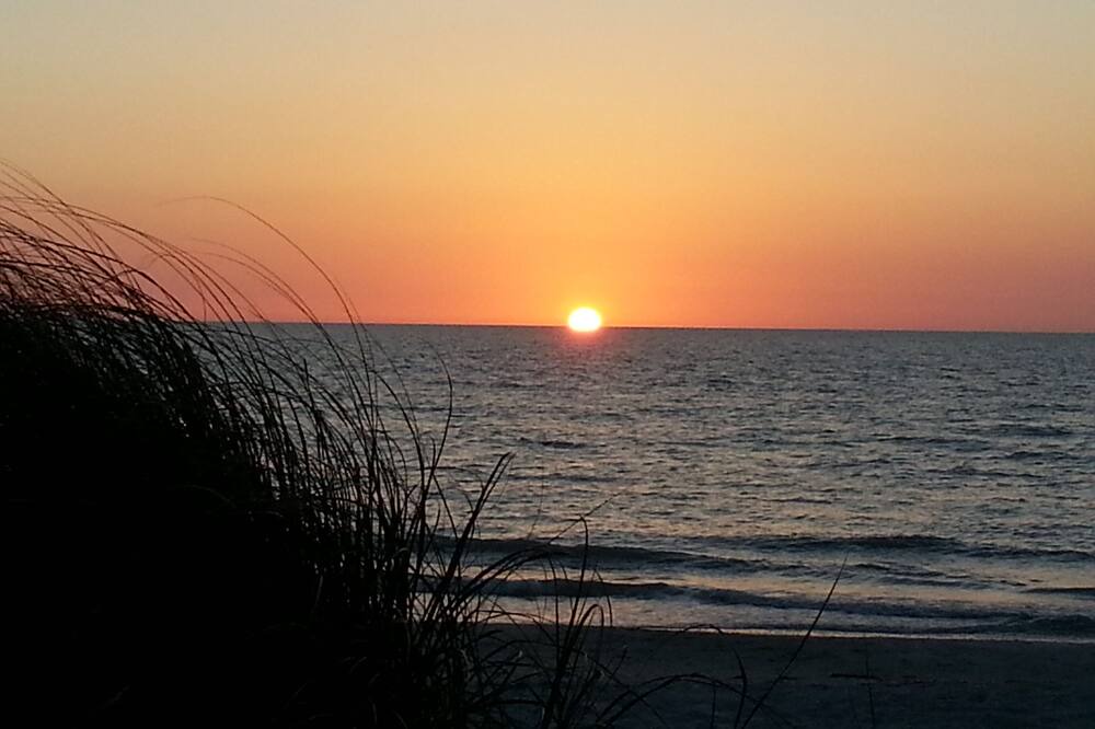 Photo of Others in Indian Rocks Beach
