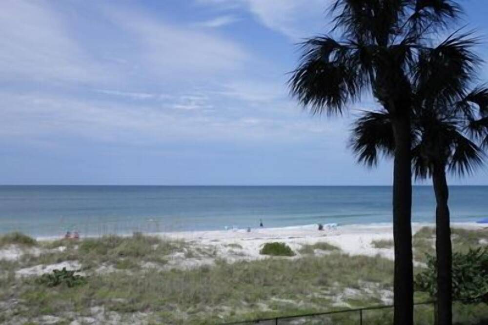 Photo of Outdoor in Indian Rocks Beach