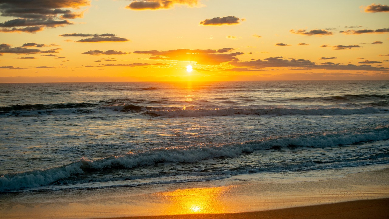 Photo of Others in Flagler Beach