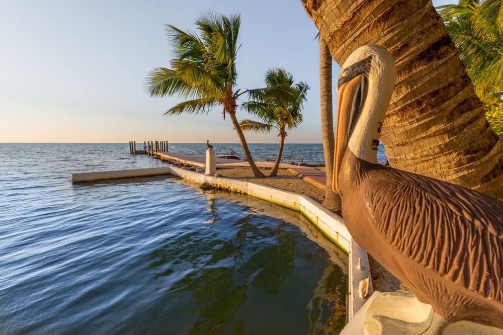 Photo of Others in Long Key