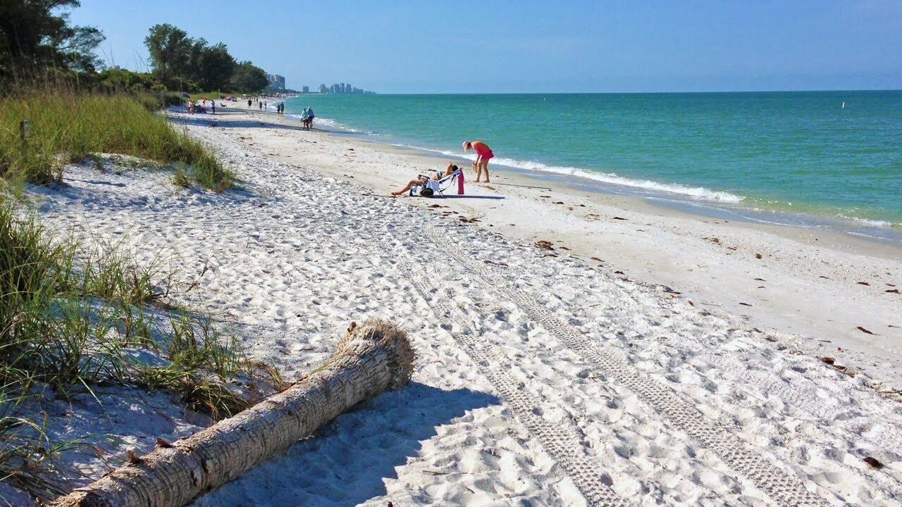 Photo of Others in East Naples