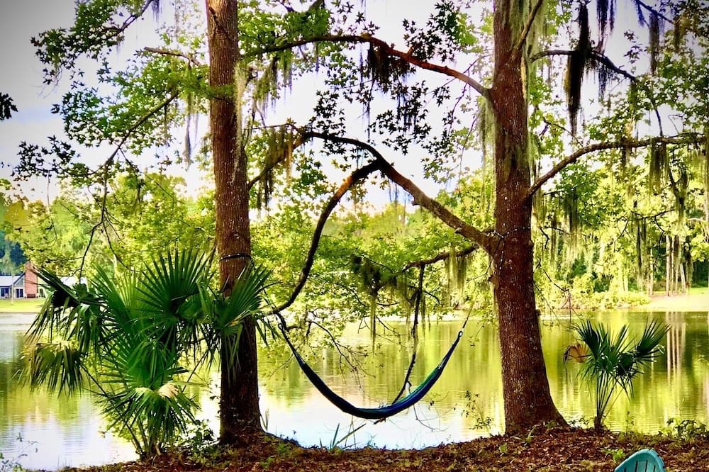 Photo of Outdoor in Palatka