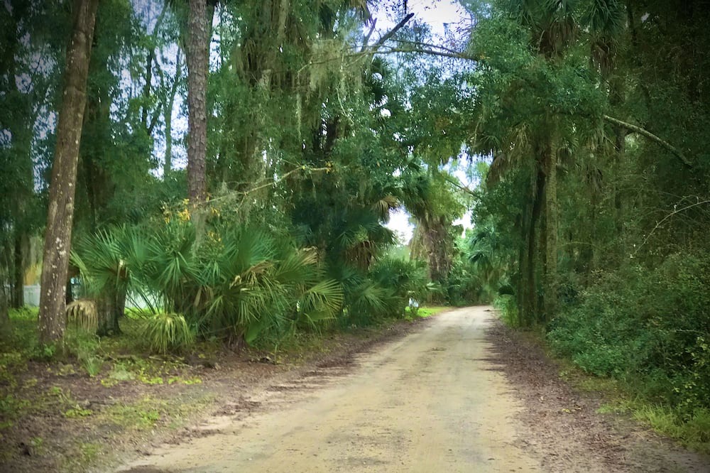 Photo of Outdoor in Palatka