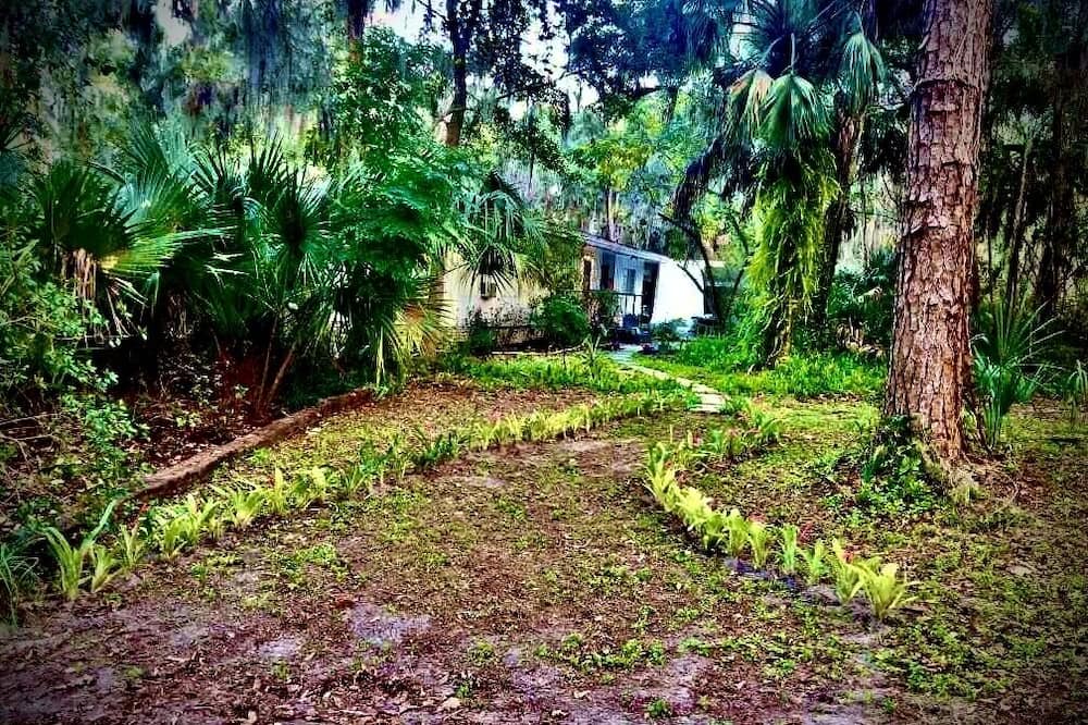 Photo of Outdoor in Palatka
