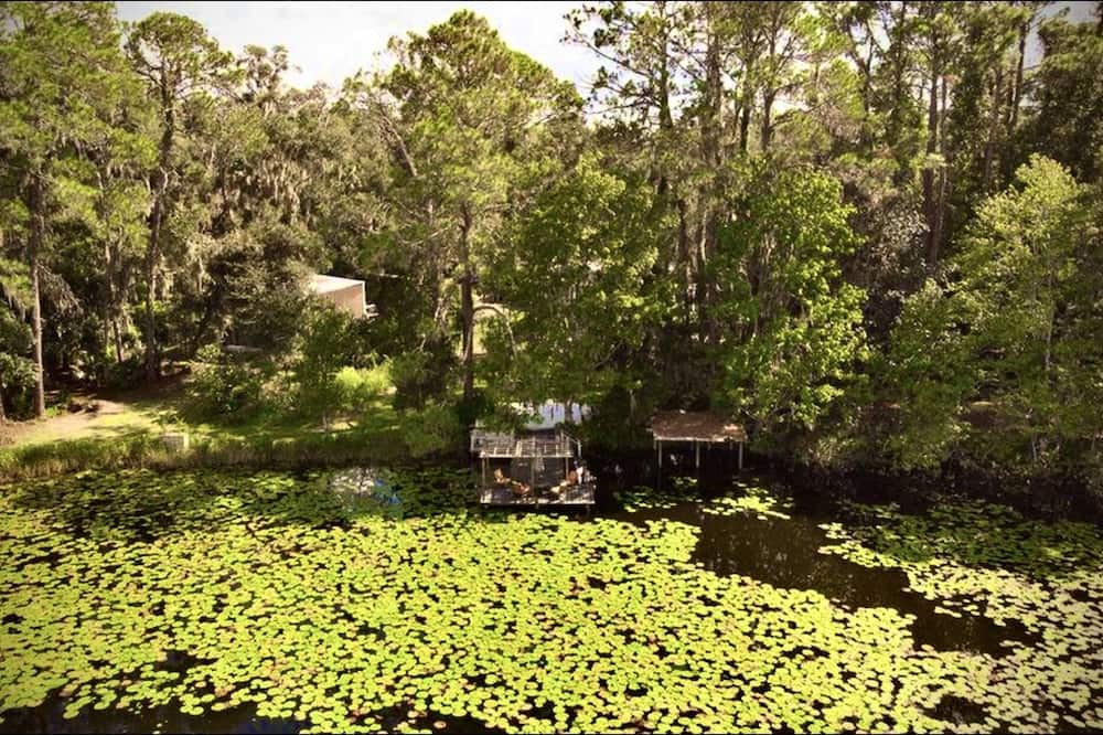 Photo of Outdoor in Palatka