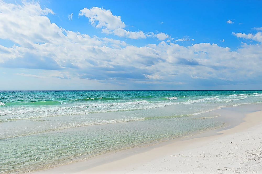 Photo of Others in Dune Allen Beach