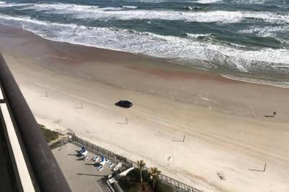 Photo of Others in Daytona Beach