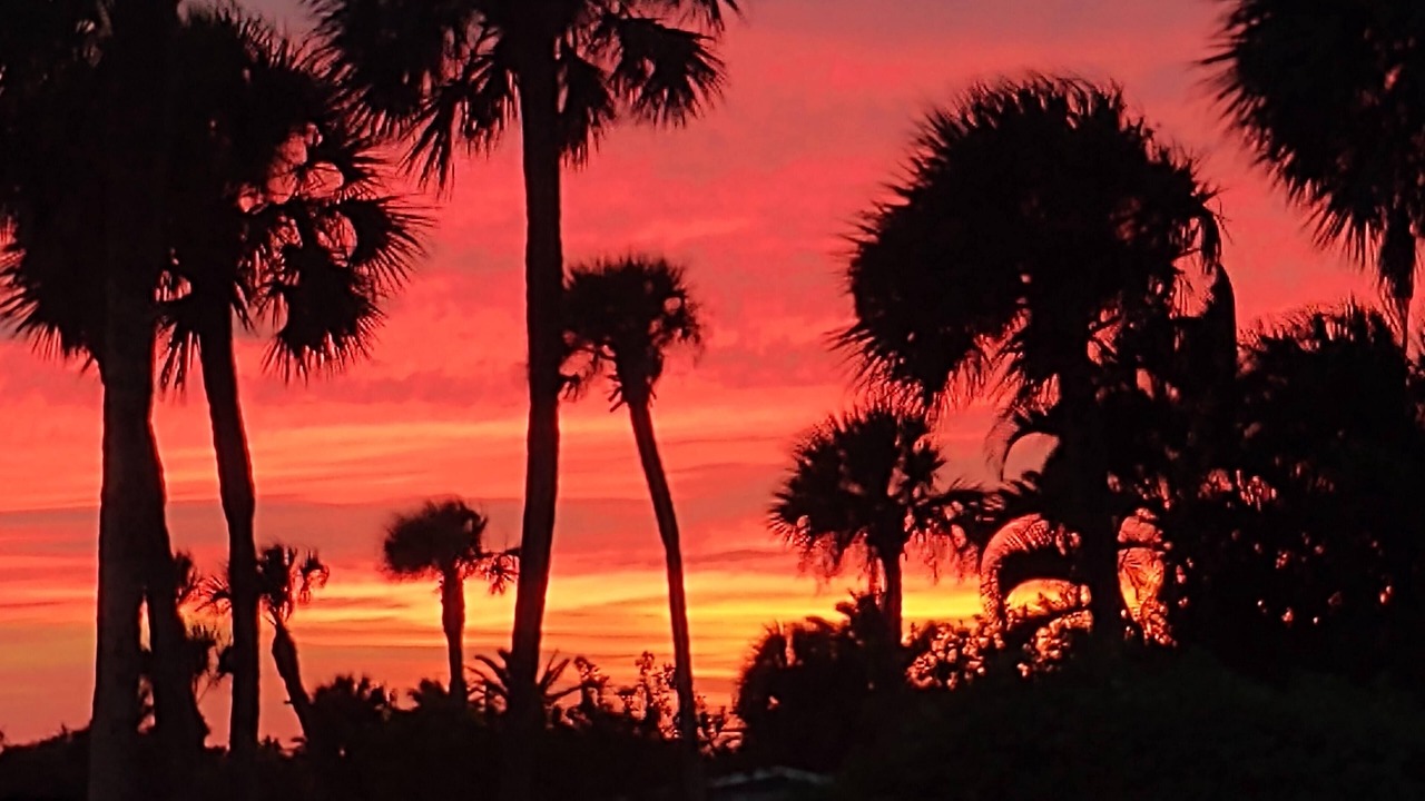 Photo of Outdoor in South Patrick Shores