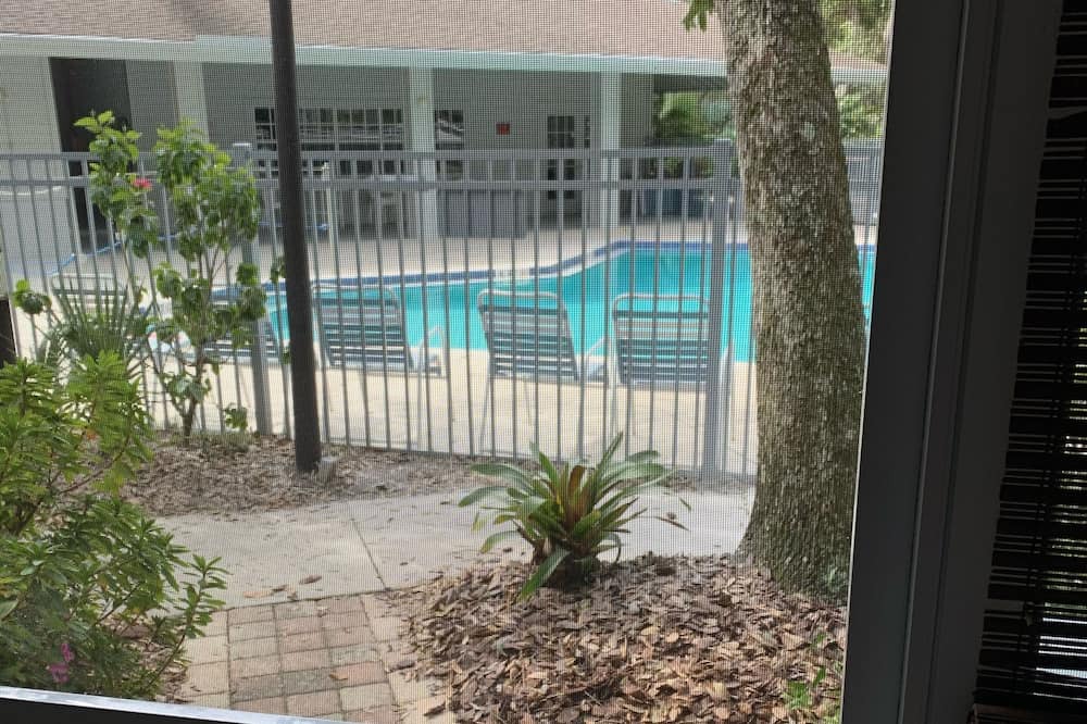 Photo of Outdoor in New Smyrna Beach
