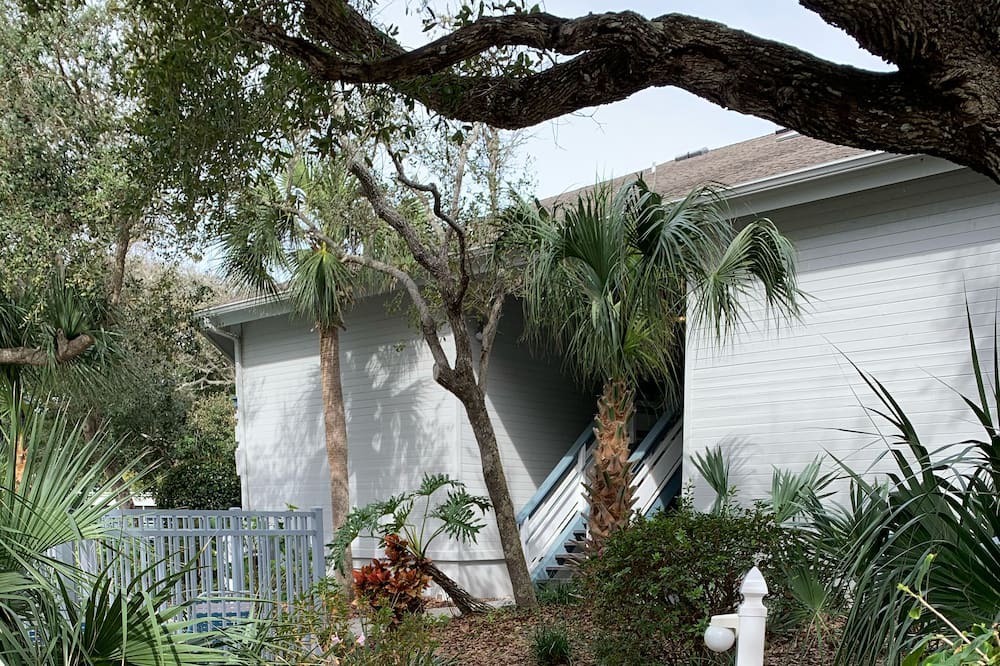 Photo of Others in New Smyrna Beach
