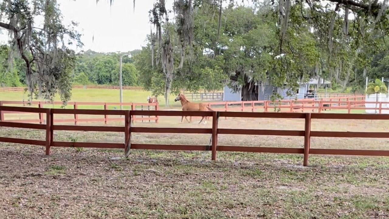 Photo of Others in Cypress Gardens