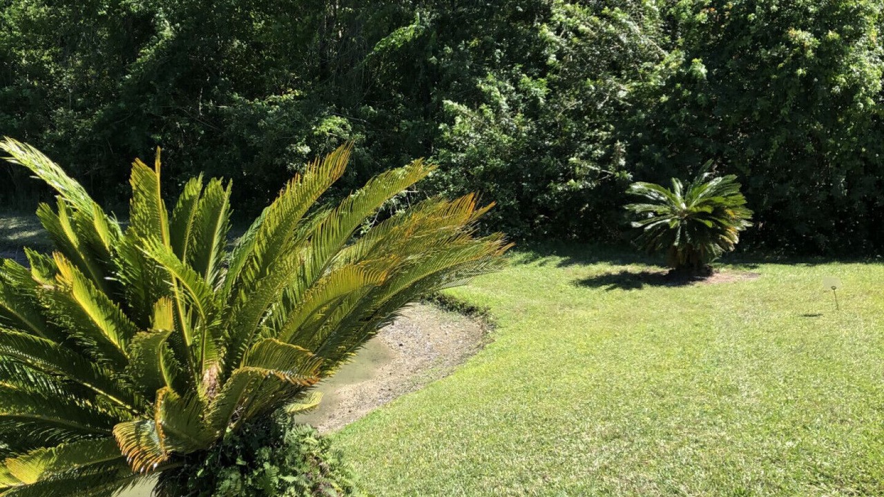 Photo of Outdoor in Fussels Corner