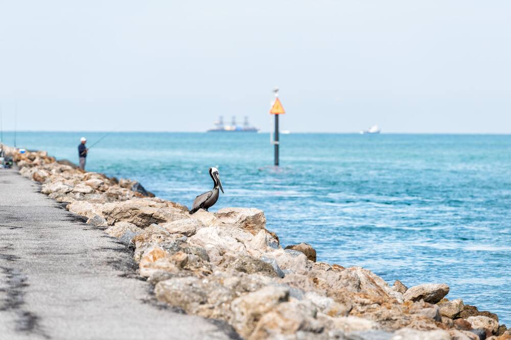 Photo of Outdoor in Venice Gardens
