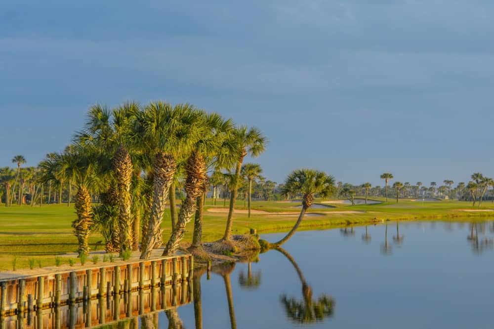 Photo of Others in Sawgrass