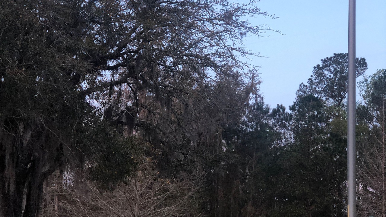 Photo of Outdoor in Northside
