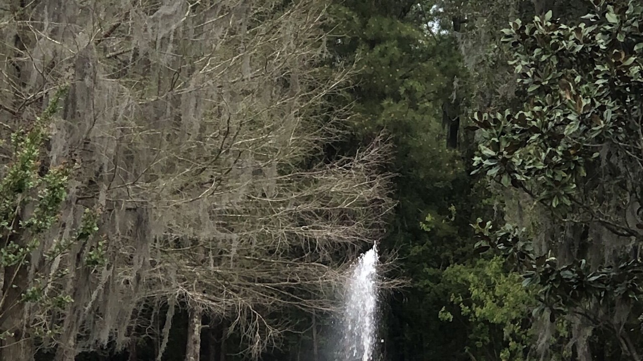 Photo of Outdoor in Northside