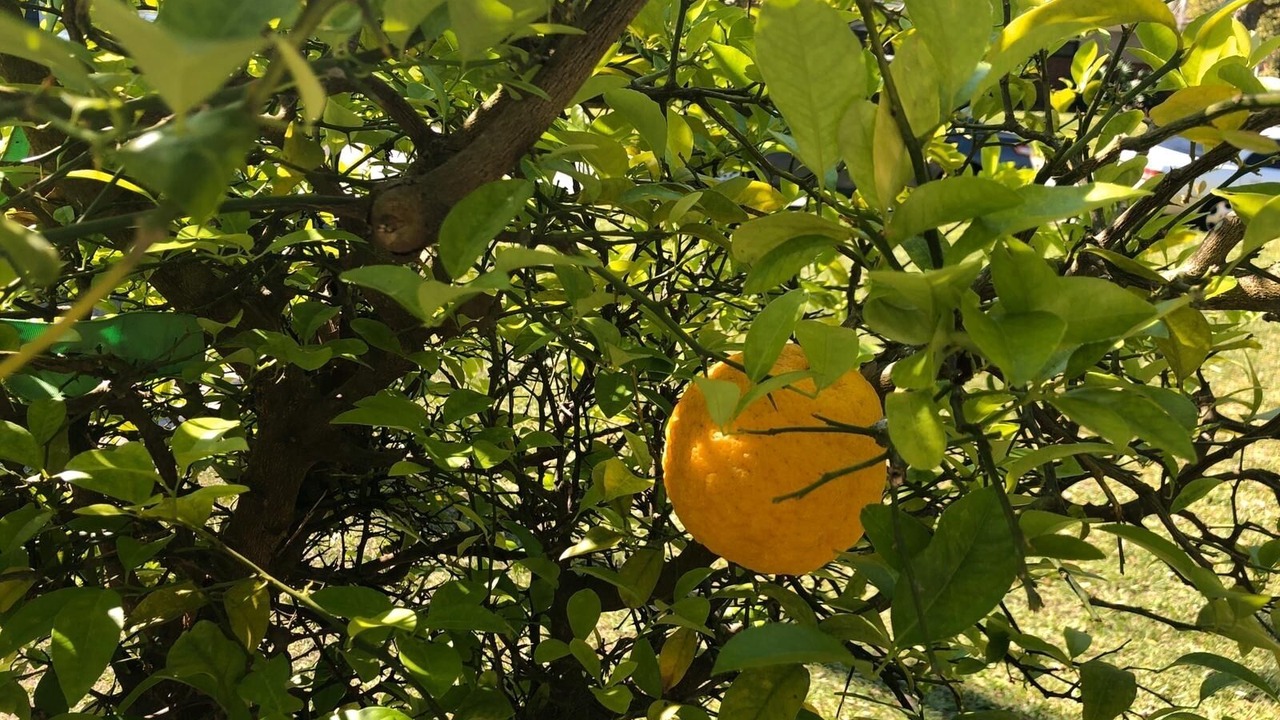 Photo of Outdoor in Northside