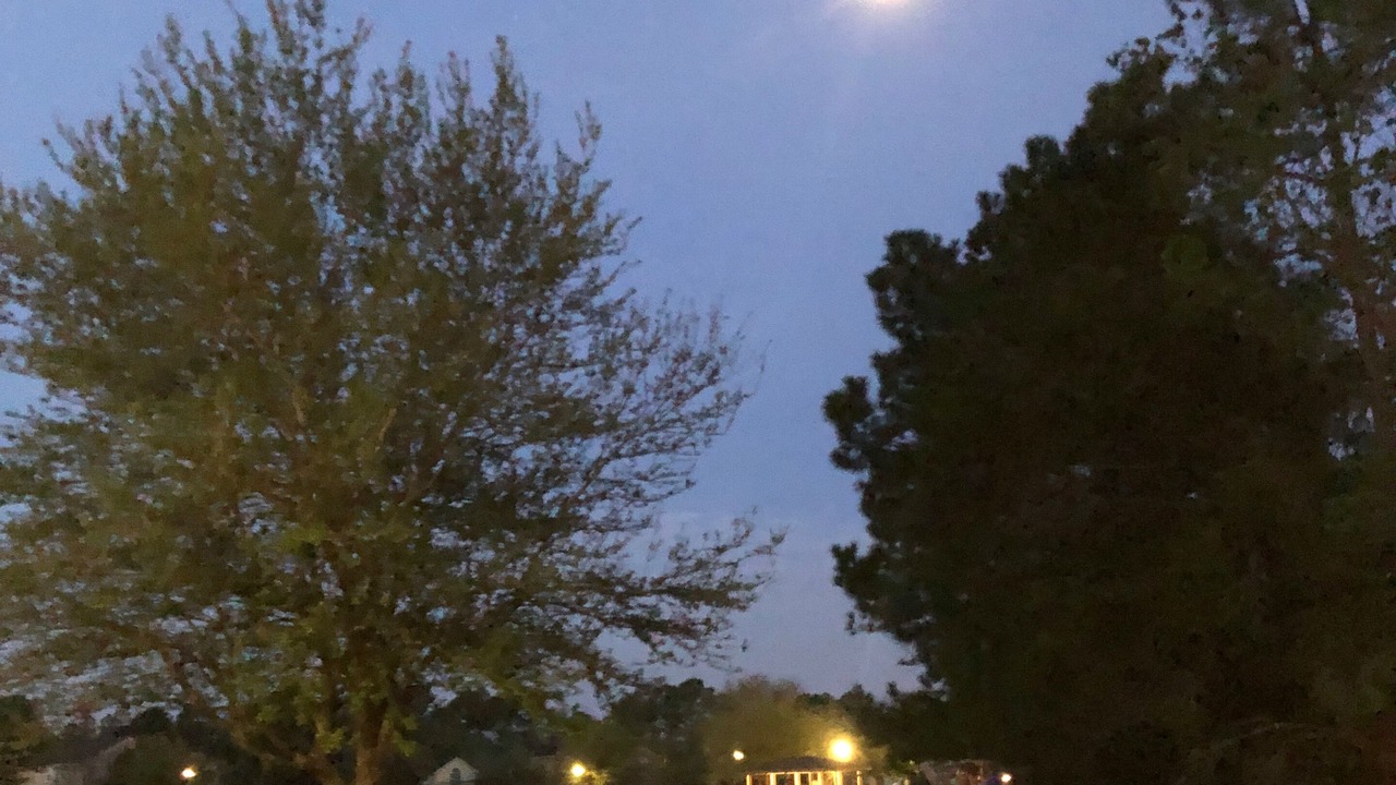 Photo of Outdoor in Northside