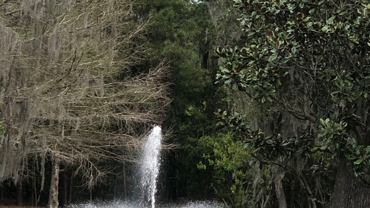 Photo of Outdoor in Northside