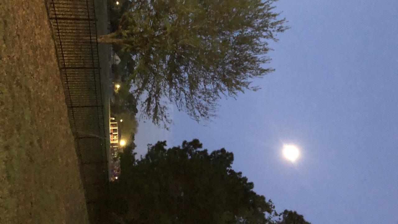 Photo of Outdoor in Northside