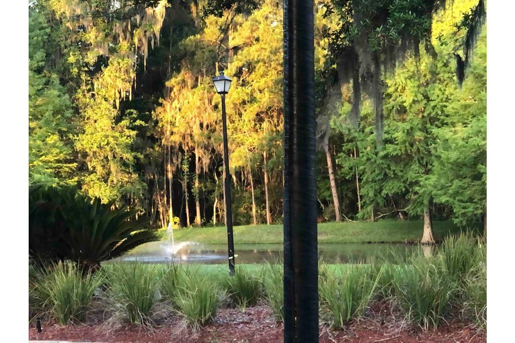 Photo of Outdoor in Northside