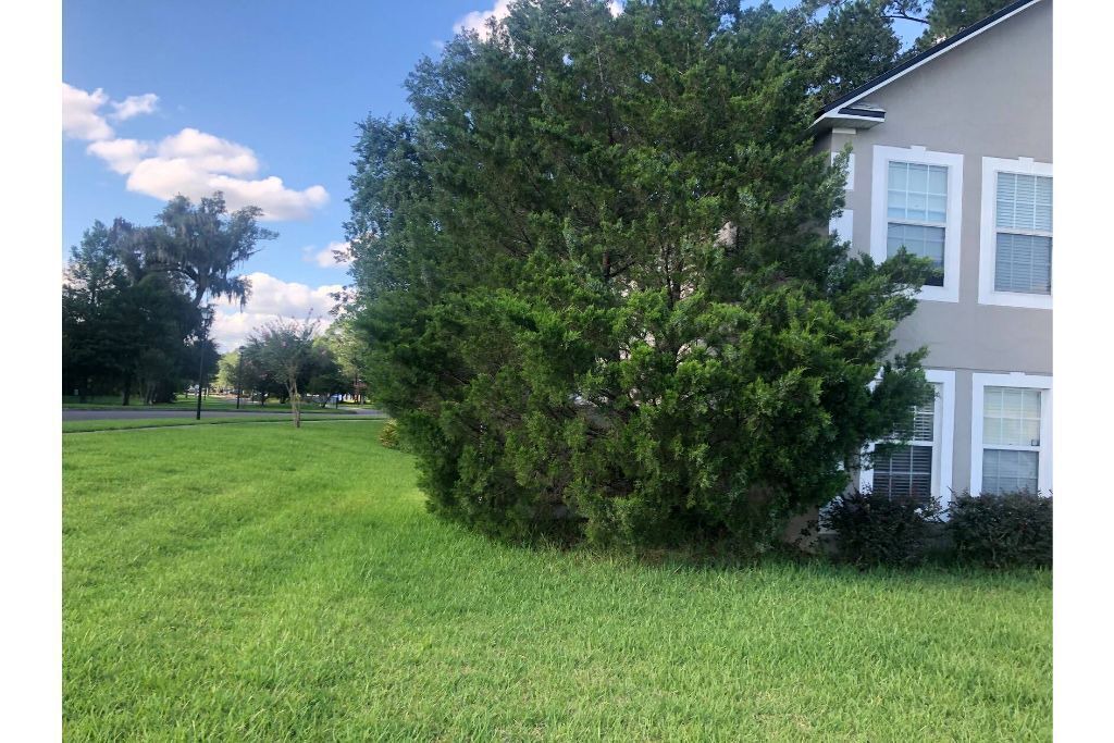 Photo of Outdoor in Northside